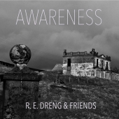 Roy-Einar Dreng - Awareness (LP, Vinyl)